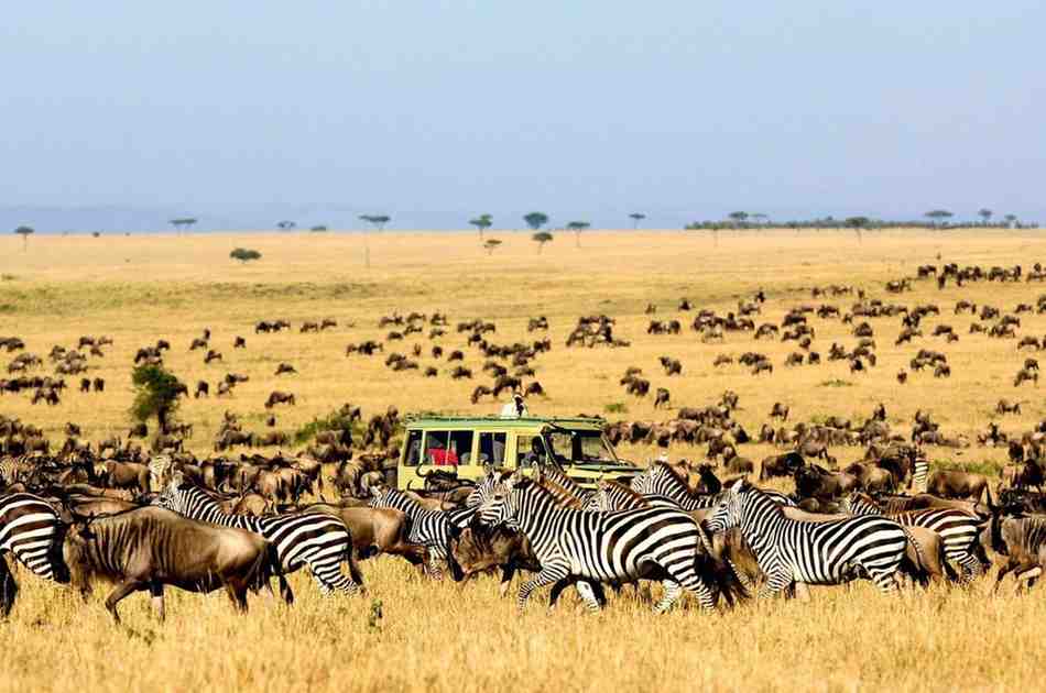 kenya safaris