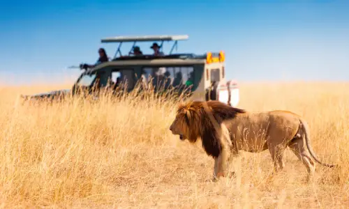 SERENGETI-NATIONAL-PARK