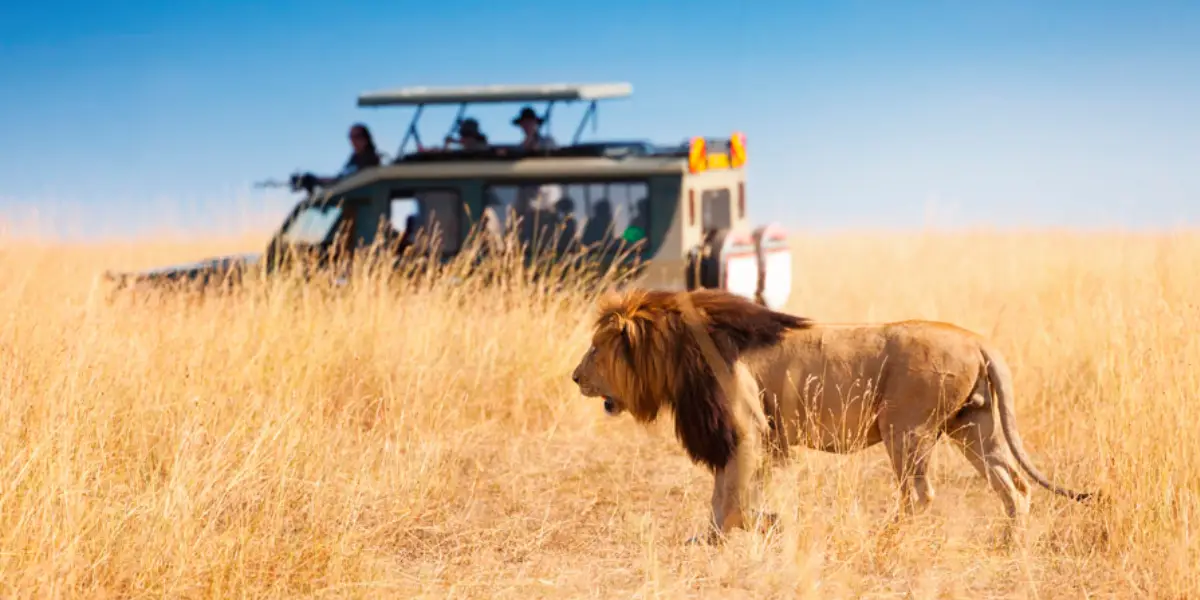 Serengeti National Park