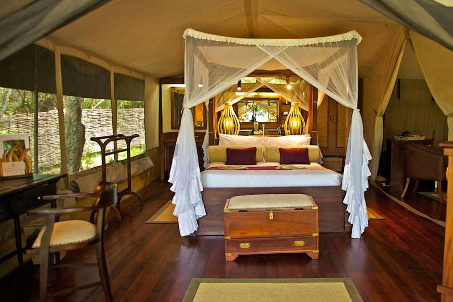 Masai Mara Safari